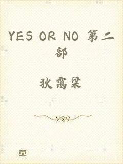 YES OR NO 第二部